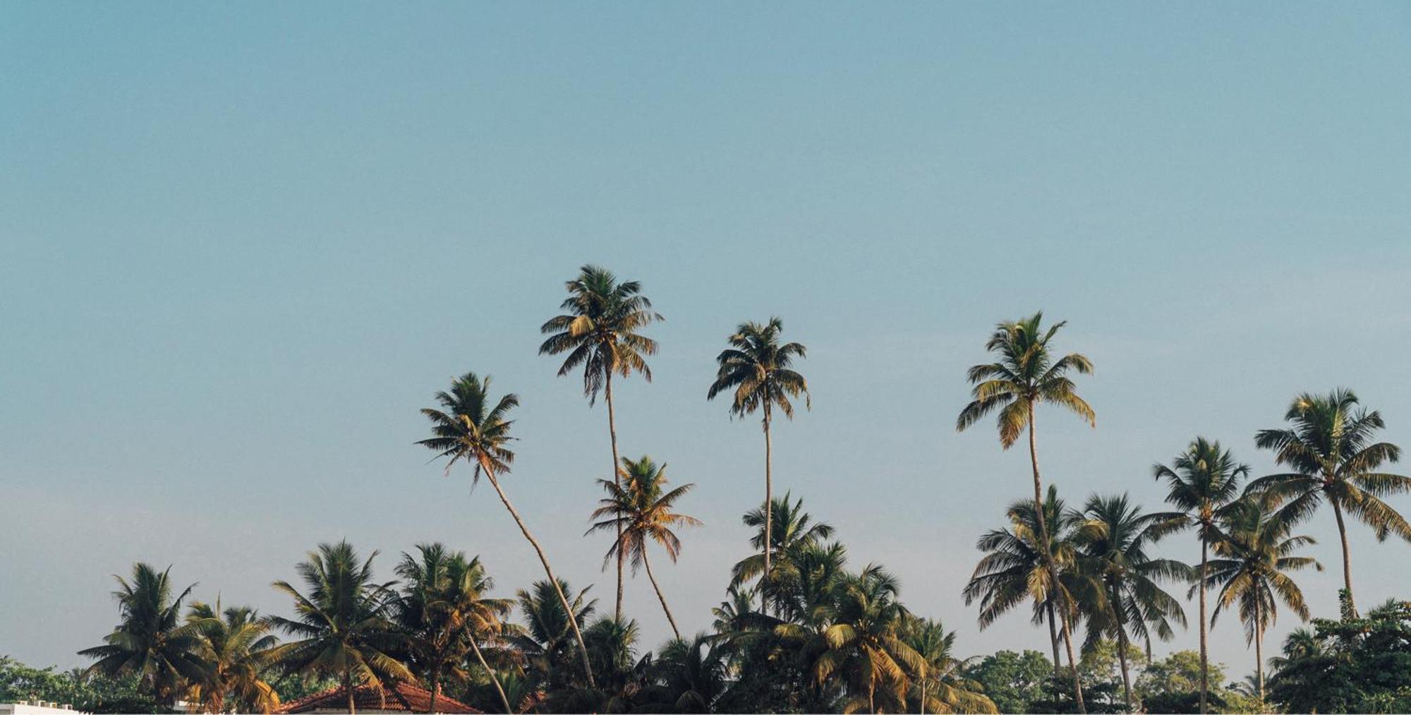 Lucky'S Surf Camp Bed and Breakfast Weligama Εξωτερικό φωτογραφία