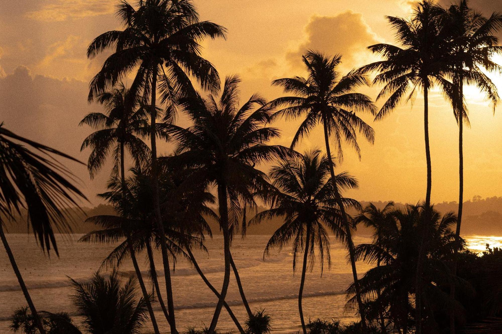 Lucky'S Surf Camp Bed and Breakfast Weligama Εξωτερικό φωτογραφία