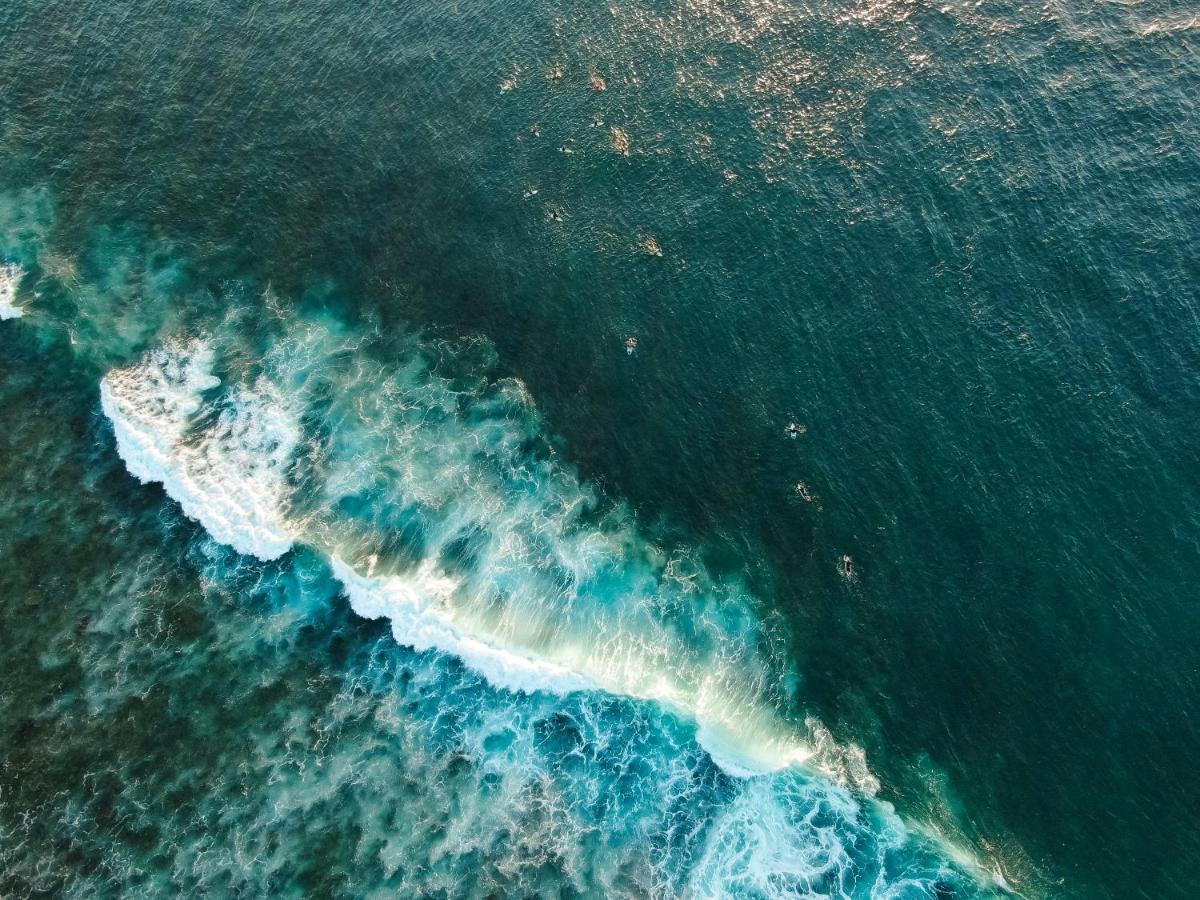Lucky'S Surf Camp Bed and Breakfast Weligama Εξωτερικό φωτογραφία