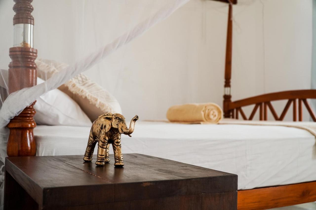 Lucky'S Surf Camp Bed and Breakfast Weligama Εξωτερικό φωτογραφία